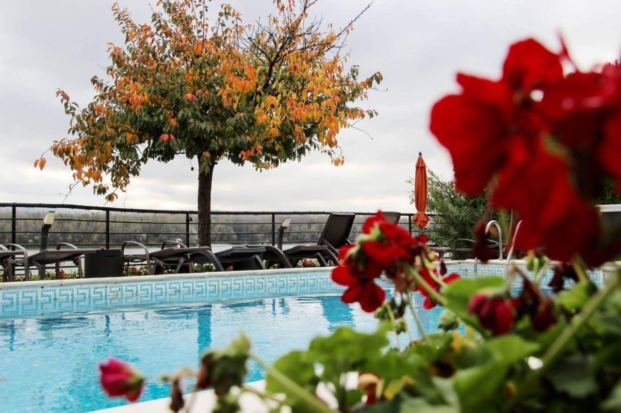 Guest House Panorama Aqualux With Free Parking Νόβι Σαντ Εξωτερικό φωτογραφία
